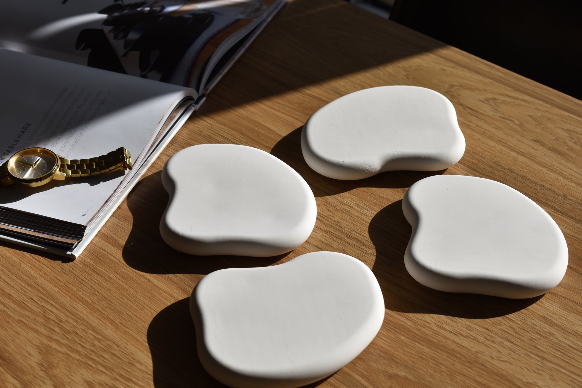 THE REN COASTER