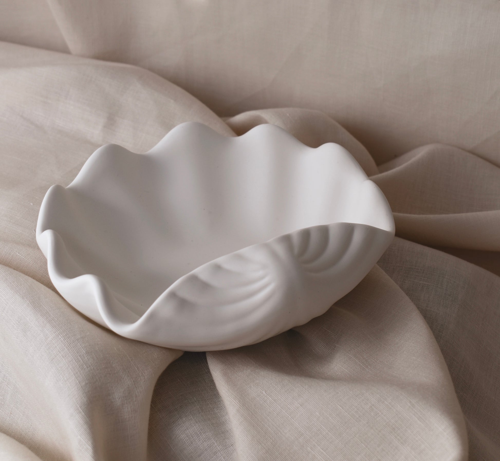 THE PALOMA DISH