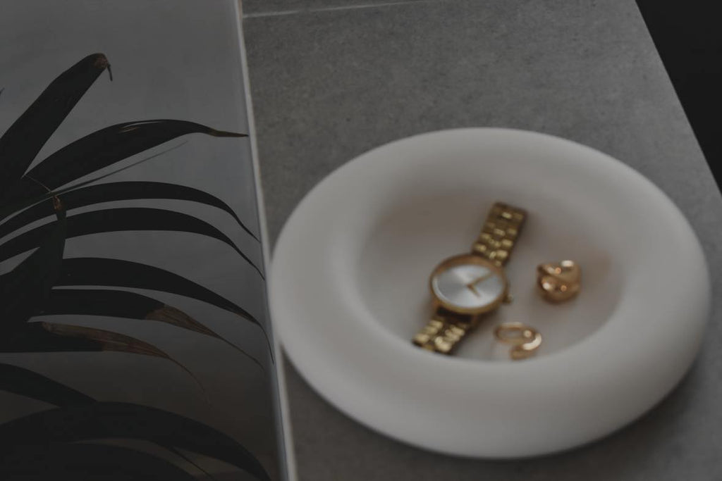 THE ARIES DISH