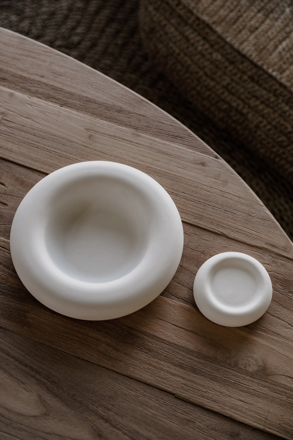 THE ARIES DISH