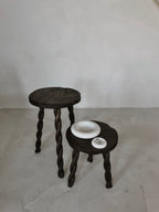 THE ARIES DISH