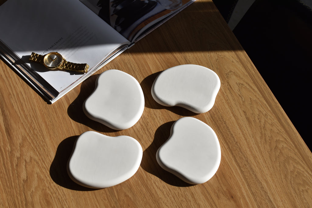 THE REN COASTER
