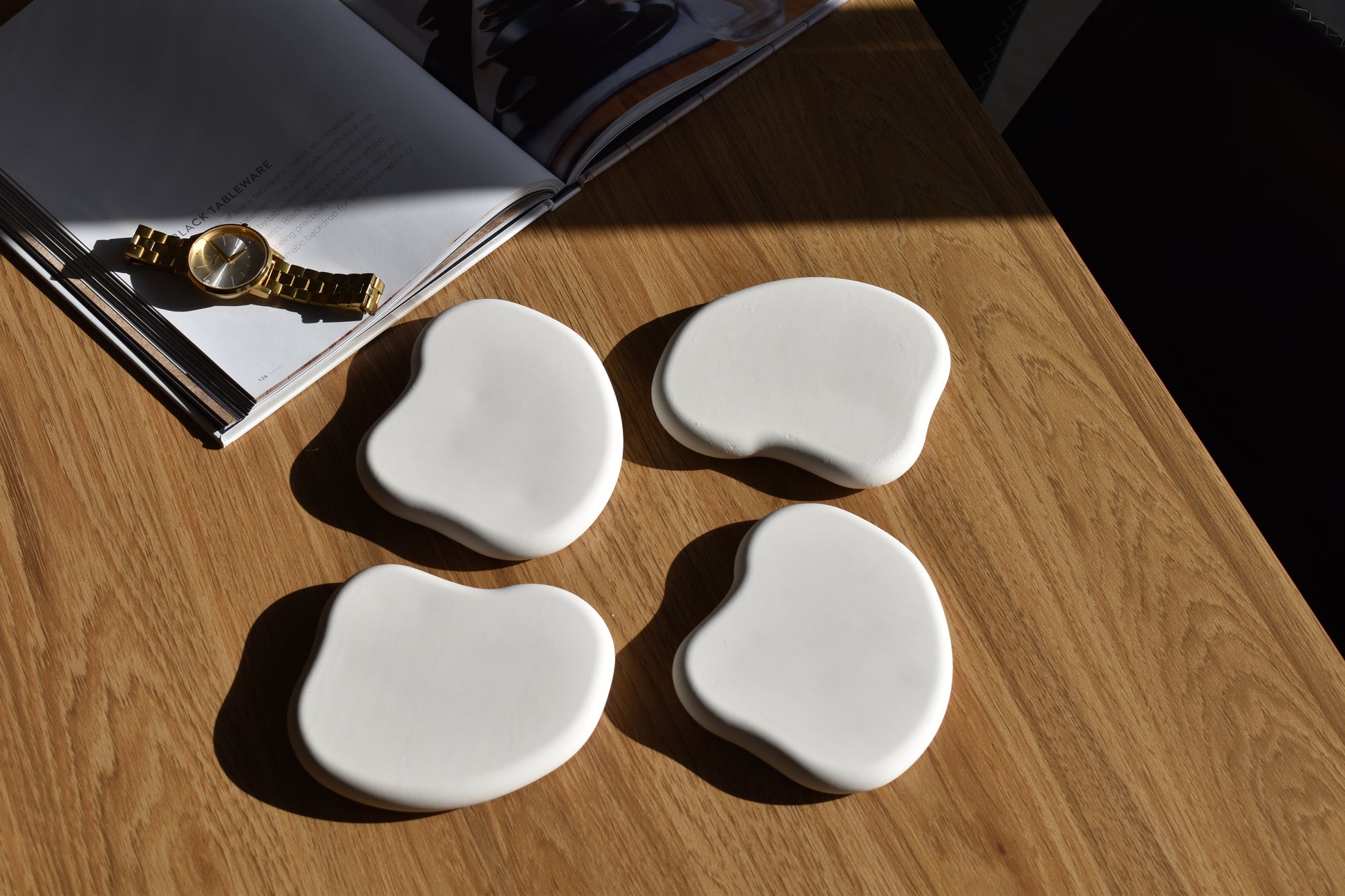 THE REN COASTER