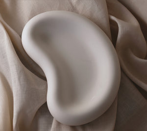 THE SOLI DISH