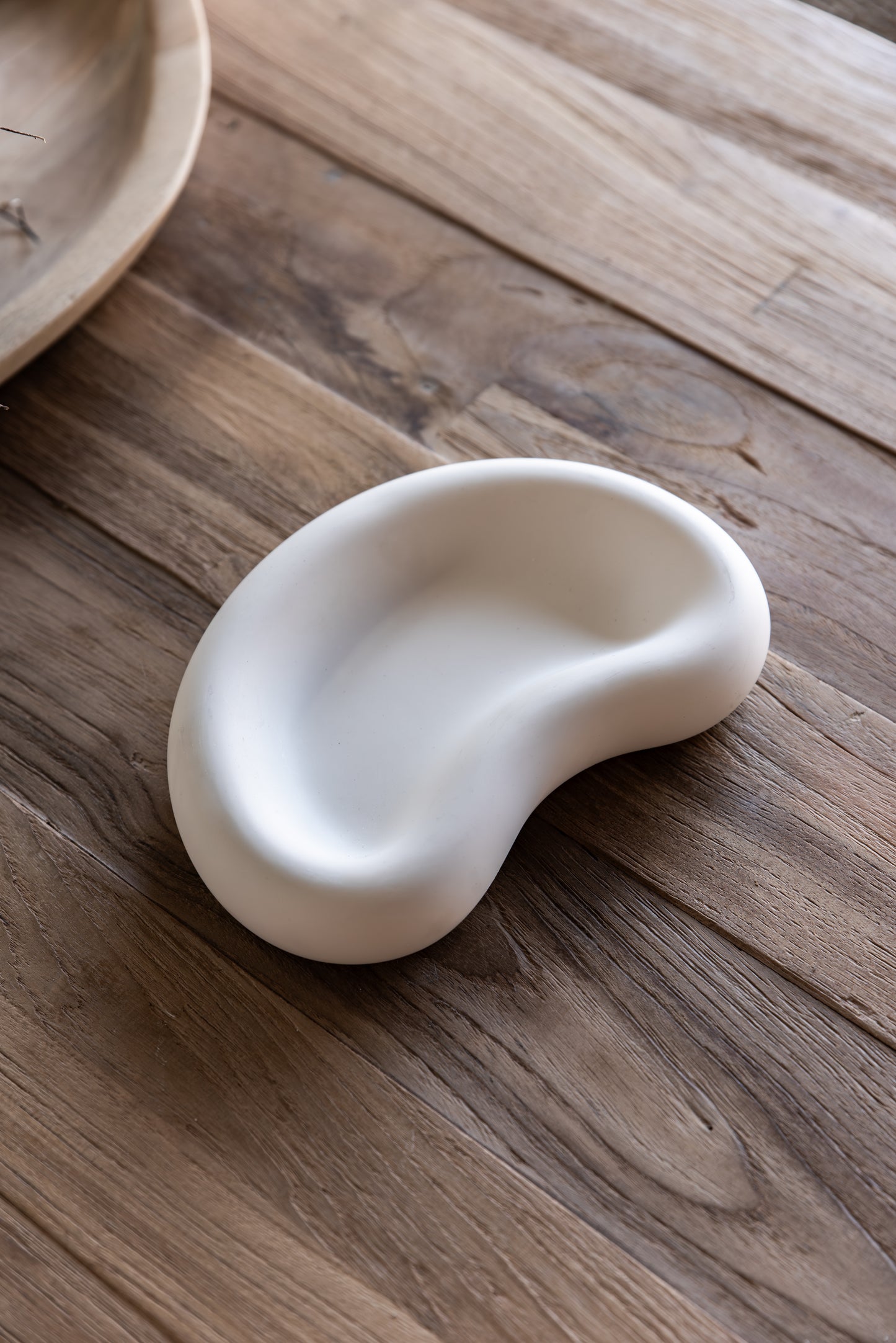 THE SOLI DISH
