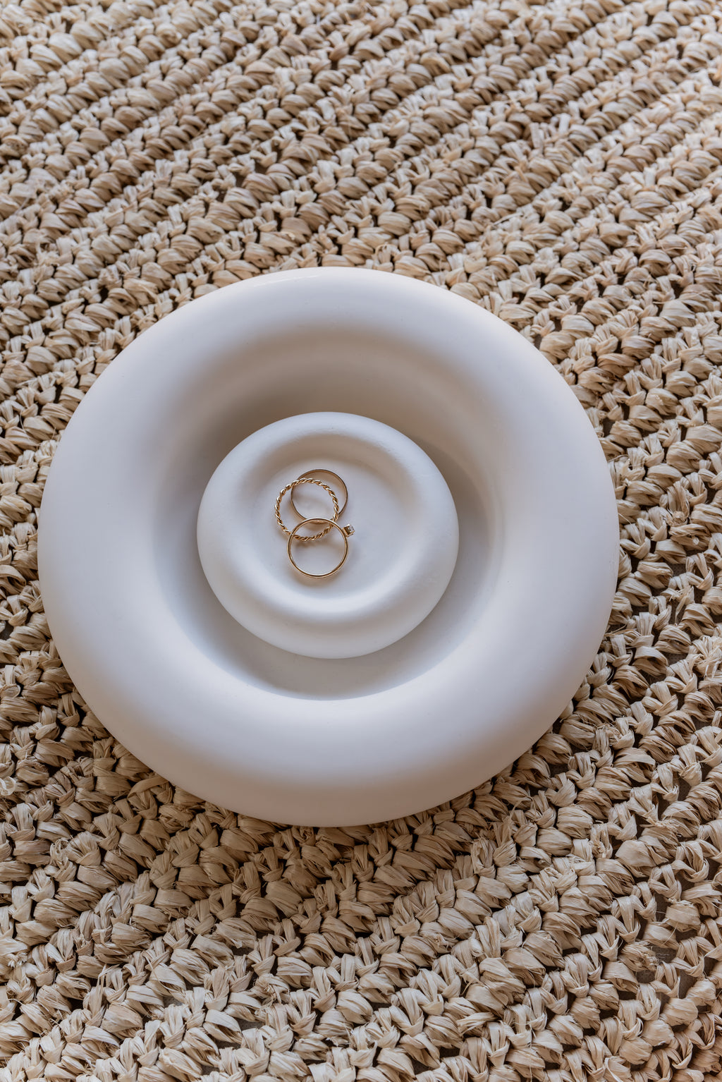 THE ARIES DISH